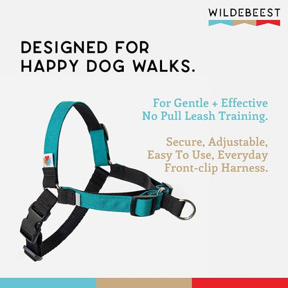 No Pull Dog Harness | Comfortable Training Harnesses | Effective No Pull Harness Design | Ideal for Medium Sized Dog | 4-Point Adjustable(M - 22~28 inch Girth, Turquoise)