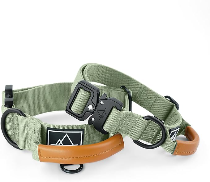 Made to ROAM Premium Explorer Control Collar - Adjustable Heavy Duty Nylon Dog Collar with Quick-Release Metal Buckle and Leather Handle (Washington Rain, Size 2, Control)