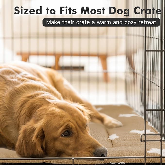 Mora Pets Dog Crate Pad Washable Puppy Dog Bed for Crate Flat Kennel Mat | Soft Dog Cat Bed Mat, Crate Pad for Dog Cage Cozy Sleeping Liner, Pet Pillow Cushion Medium Cute Star Anti Slip Brown 30 x 19