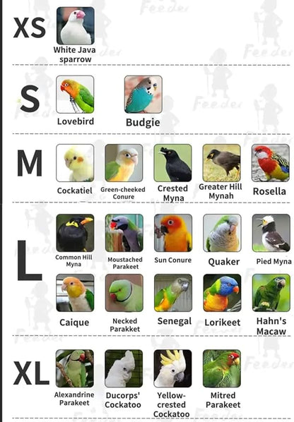Bird Costume Diaper Flight Suit Bee Shape Hoodie Clothes Cosplay Photo Prop for Parrots Parakeet Cockatiel Sun Conure, Small Animals Apparel (Bee with Diaper, X-Large), Green (BPF1)