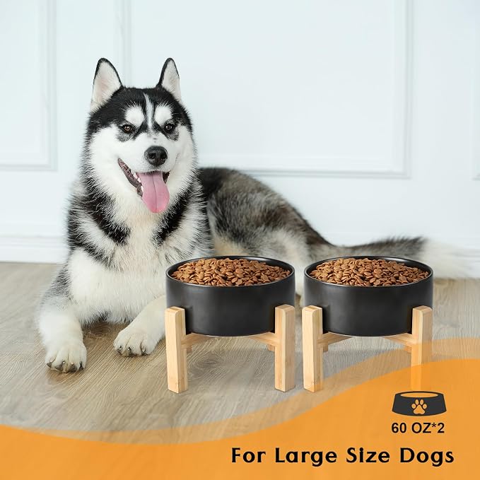 SPUNKYJUNKY Ceramic Elevated Dog Bowls 2 Pack - 8.3inch Raised Dog Bowls with Non-Slip Wooden Stand for Large Dogs Dishwasher Safe(Black,60OZ*2)