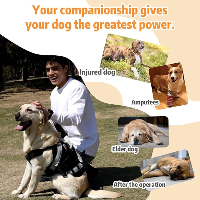 Dog Lift Harness for Large Dogs,Full Body Dog Sling Carrier, Black, XL | Help Support Big, Elderly Pet with Arthritis, Front/Rear Legs Assistance with Handle, for Lifting Injured Dogs Up Stairs