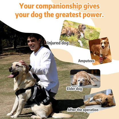 Dog Lift Harness for Large Dogs,Full Body Dog Sling Carrier, Black, Large | Help Support Big, Elderly Pet with Arthritis, Front/Rear Legs Assistance with Handle, for Lifting Injured Dogs Up Stairs