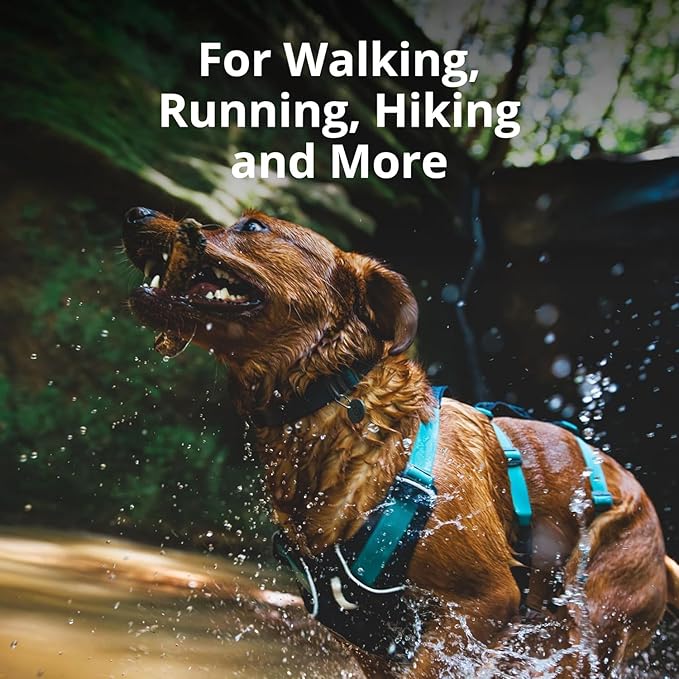 Ruffwear, Flagline Dog Harness, Lightweight and Reflective, No Pull Dog Lift Harness for Hiking, Running and Everyday Use, Alpenglow Pink, XX-Small