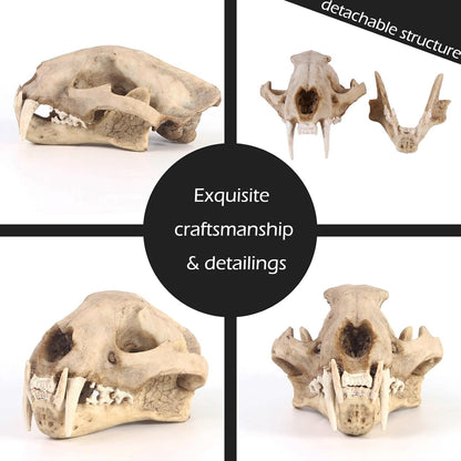 Aquarium Décor Cave Decorations Fish Hideout Betta Tarantula Reptile Snake for Terrarium Ornament Dinosaur Animal Skull Large Bones Halloween