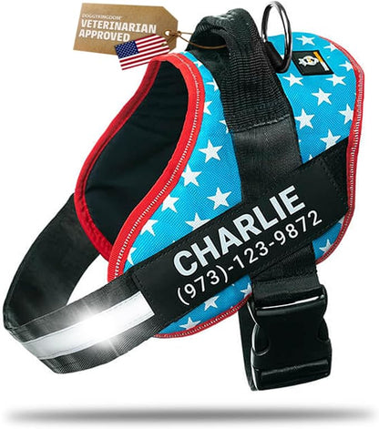Personalized Dog Harness with Custom Name Patches, Adjustable Reflective No Choke Dog Vest with Handle for Small Sized Dog, Light Blue, S
