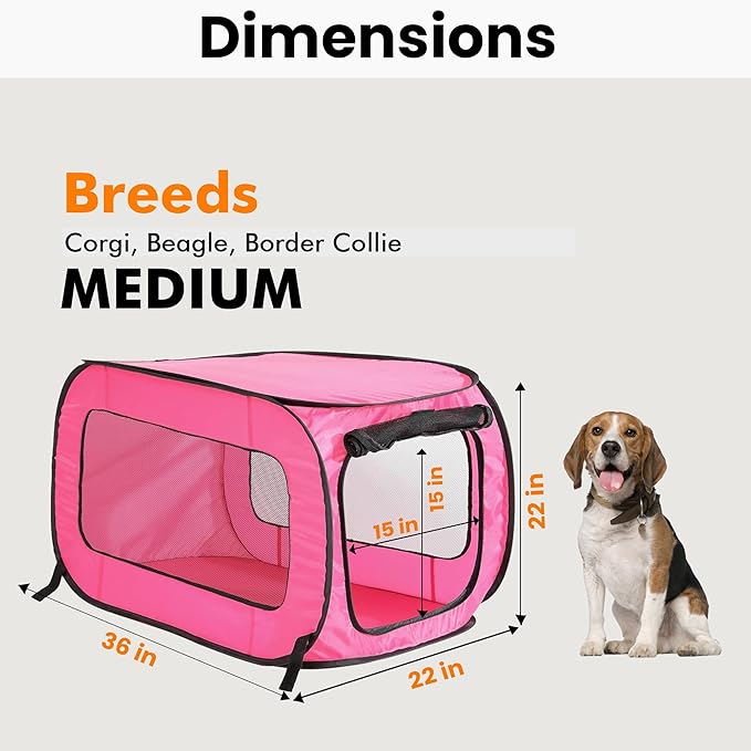 Beatrice Home Fashions Portable, Collapsible, Pop Up Kennel Travel Cat and Dog Crate, 36" L x 22" W x 22" H, Fuchsia