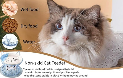 2PCS Ceramic Shallow Cat Food Dishes with Non-Slip Mat, Elevated Cat Food Bowl with Raised Metal Stand, Small Dog Bowl, Whisker Fatigue Pet Food Plate, Dishwasher Safe