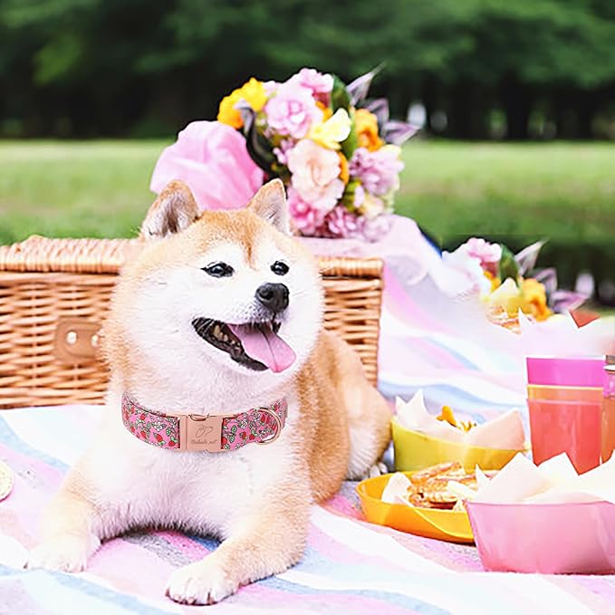 Sweet Strawberry Dog Collar, Cute Pink Summer Pet Collar with Metal Buckel, Durable Adjustable Designer Dog Collars for Small Medium Large Dogs M