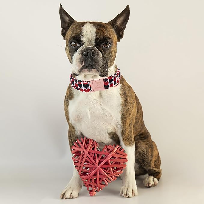 Valentines Dog Collar, Red Black Heart Valentine Pet Collar with Metal Buckel, Durable Adjustable Holiday Dog Collars for Small Medium Large Dogs L