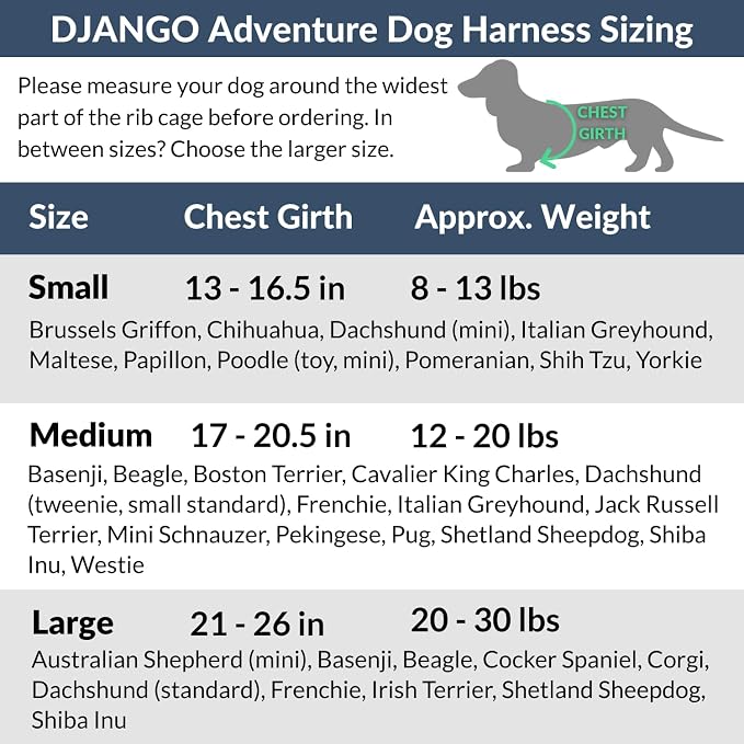 Adventure Dog Harness - Stylish and Durable Medium Dog Harness for Outdoor Adventures and Everyday Wear - Indigo Blue Neoprene Adjustable Harness for Dogs with Reflective Piping, Brass D-Ring