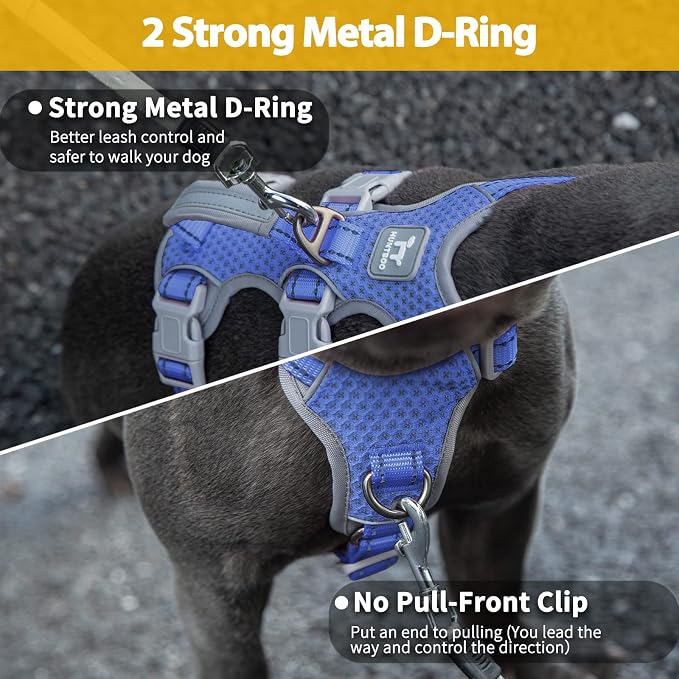 Escape Proof Dog Harness, No Pull Reflective Harness with Lift Handle, Adjustable Pet Vest with Front and Back Leash Clips for Small Medium Large Dogs Walking Hiking Training (Vista Blue,L)
