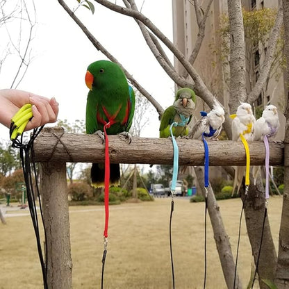 Adjustable Bird Harness with Elastic Leash, Pet Parrot Harness and Leash, Adjustable Training Design Anti-Bite, Bird Nylon Rope with Cute Wing for Conure (Light Blue,Macaw)