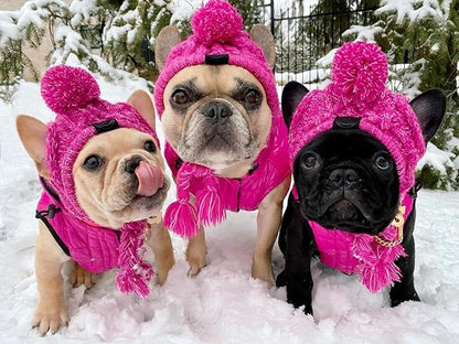 Winter Dog Hat,Knitting Wool Cap,Warm Pet Head Wear with Long Braid Puppy’s Head Accessorie (Purple M)