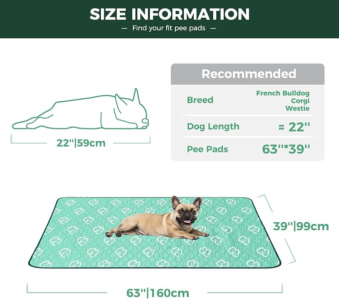 FXW Washable Pee Pads for Dogs, Puppy Pads with Super Absorbent, Specifically Designed for FXW Rollick/Homeplus 24inch 6 Panels Dog Playpen, 39" x 63" Rectangle, Green, 1 Pack