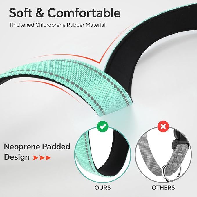 Reflective Dog Collar with Quick Release Buckle - Metal Ring - Adjustable Soft Neoprene Padded Basic Dog Collar for Small Medium Large Dogs (Teal, Small :Width 1",Neck 11.8-15.7")