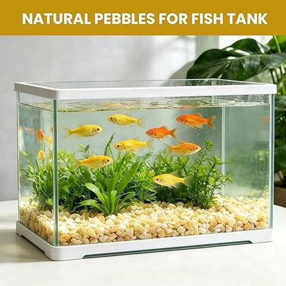 1/8 Inch Aquarium Gravel, Small Pebbles for Fish Tank, Indoor Plants & Succulents, Natural Mini River Rocks for Drainage, Terrarium, Top Dressing & Vase Filler, Cream Beige, 3LB