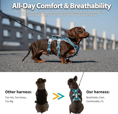 Escape Proof Dog Harness, Escape Artist Harness, Fully Reflective Harness with Padded Handle, Breathable,Durable, Adjustable Vest for Medium Dogs Walking, Training, and Running Gear (Teal,XS)