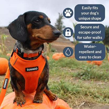 Adventure Dog Harness - Stylish, & Durable Small Dog Harness for Outdoor Adventures and Everyday Wear - Sunset Orange Neoprene Adjustable Harness for Dogs with Reflective Piping & Brass D-Ring