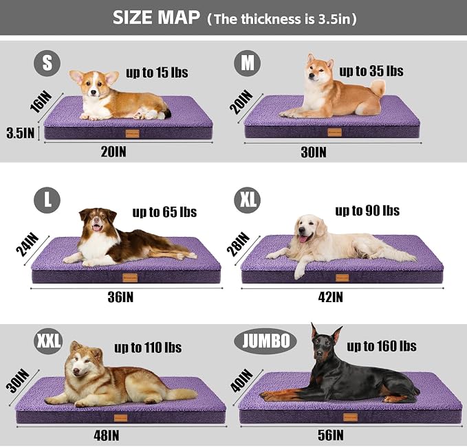 Patas Lague Orthopedic Large Dog Bed Washable Pet Sofa Mat 42''X28''Purple | Egg-Crate Foam Dog Couch For Large Sized Dogs, Waterproof Removable Cover, Soft Pet Crate Bed With Nonskid Bottom