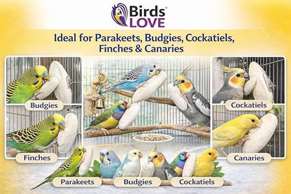 Birds LOVE 3.5-4″ Cuttlebone for Birds – 100% Natural Sun-Dried Calcium & Beak Conditioning Supplement for Parakeets, Budgies, Cockatiels, Finches & Canaries – 4 Pack with Holder – Made in Vietnam