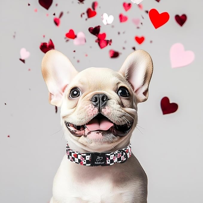 Valentines Dog Collar for Small Dogs - Unique Black White Plaid Girl Boy Valentine Heart Dog Collars, Adjustable Heavy Duty Pet Collar with Metal Buckle S
