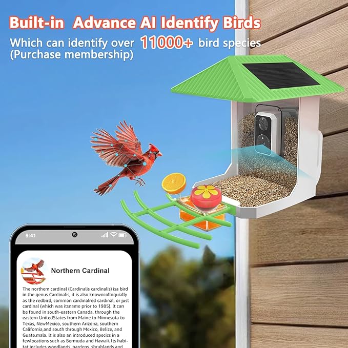 2.5K Smart Bird Feeder with Camera, 2.5L Birds Watching Camera with AI Identify Bird Species, Outdoor Birds Feeder House with Solar Panel for BirdLovers (Cyan)