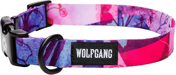Wolfgang Heavy Duty, Adjustable Dog Collar with Quick Release Nylon Buckle for Walking & Training, Daydream Print, Medium