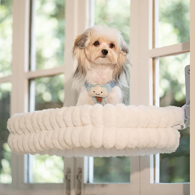 CHEERPALS Cat Window Perch for Indoor Cats Hammock for Window with Reversible Cushion, Foldable Cat Window Bed for Large Cats and Kittens(White,Medium)