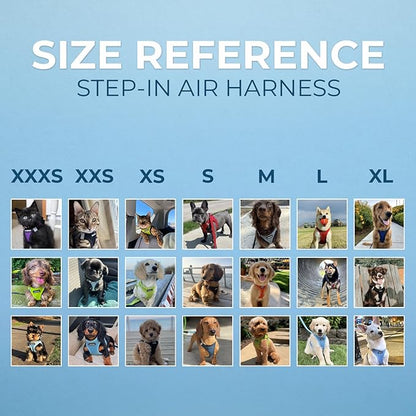 Best Pet Supplies Voyager Step-in Air Harness - All Weather Mesh, Reflective, No Pull Harness for Dogs, Cats - Secure with Hook & Loop Fastener, Buckle, Double D-Rings - Blue/Black Trim, S