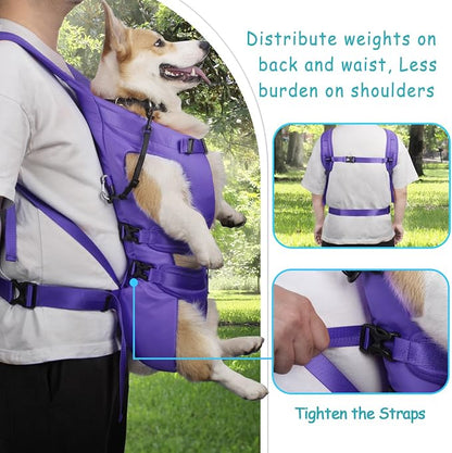 PetBonus Dog Front Carrier Backpacks, Legs Out Easy-fit Puppy Chest Carrier | Hands Free, Adjustable, Safety Strap, Walking Hiking Cycling Motorcycle bag, For Small Medium Dogs (Purple, L)