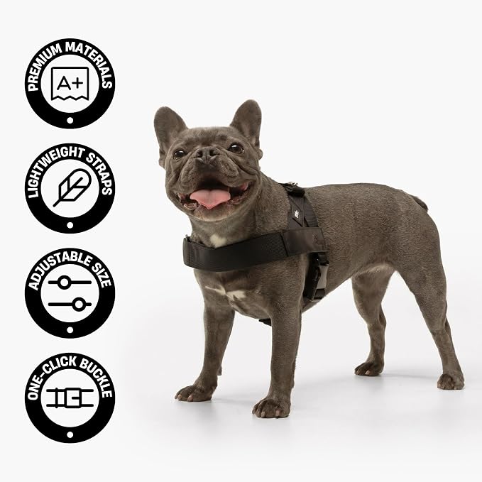 Dog Friendly Co. Dog Harness for Large Breeds (Green Camo, Extra Large) | One Click Buckle, Chafe Resistant Webbing, Adjustable Neck & Chest, and Heavy Duty D-Ring, Sturdy Comfortable and Easy to Use