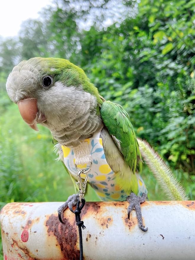 Bird Diaper Harness Flight Suit Clothes, Parrot Flight Suit with Leash, Bird Flying Clothes with Rope and Handle for Outdoor Activities Training (Yellow Without Leash,Medium)