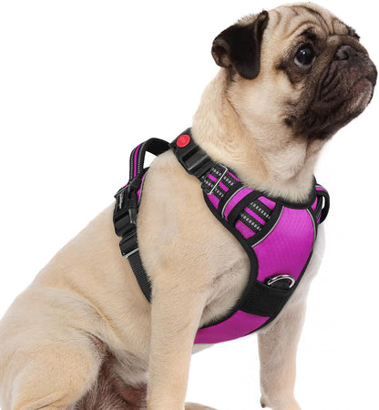 rabbitgoo Dog Harness Small Sized, No Pull Dog Vest with 3 Buckles, Adjustable Soft Padded Pet Harness with Easy Control Handle and Reflective Strips, Purple, S
