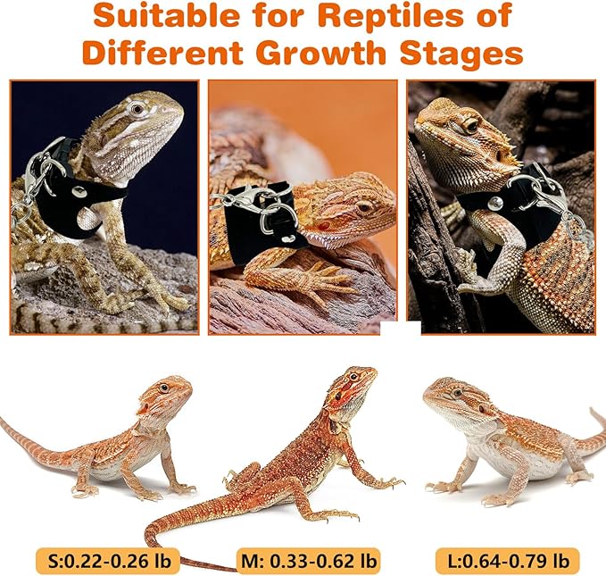 PINVNBY 3 Size Bearded Dragon Harness and Leash Set Adjustable Soft Leather Lizard Leash with Traction Rope Mini Skateboard Toy for Small Animal Reptile Reptile Walking Outdoor Adventures (Black)