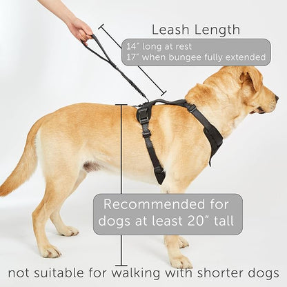 TUG Grab Dog Harness with Built-in Magnetic Traffic Leash (XL/Black) | Padded Magnetic Traffic Handle | Dual Leash Clips | 4-Point Adjustable Fit | Durable Nylon