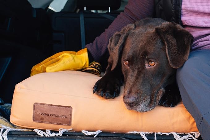WHITEDUCK Outdoor Dog Bed Heavy-Duty 12oz Canvas, Water-Repellent Cotton, Machine Washable Removable Cover with Full-Length Zipper, Dog Bed for Large Dogs & Crate, (Black) 28" Lx20 Wx4.3 th (S)