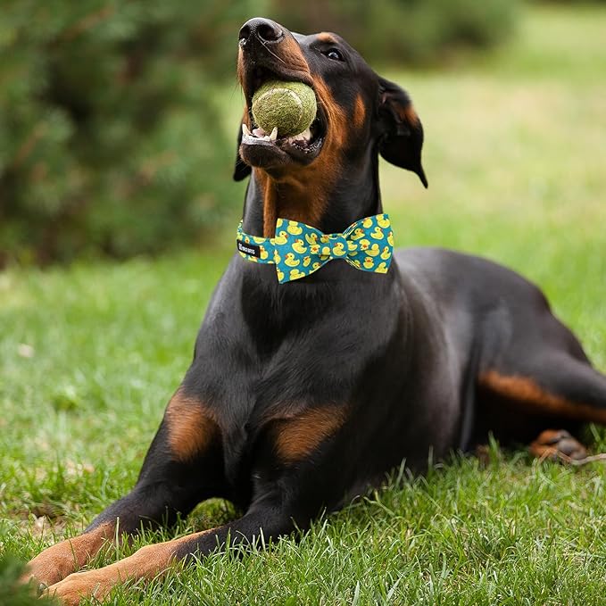 Maca Bates Summer Cute Duck Dog Collar with Bow Tie Funny Ducky Puppy Bowtie Collars Adjustable Durable Breakaway Green Fun Fancy Thick Collar for Boy Girl Male Female Dogs,Small