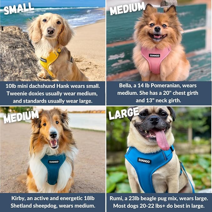 Adventure Dog Harness - Stylish and Durable Large Dog Harness for Outdoor Adventures and Everyday Wear - Indigo Blue Neoprene Adjustable Harness for Dogs with Reflective Piping & Brass D-Ring