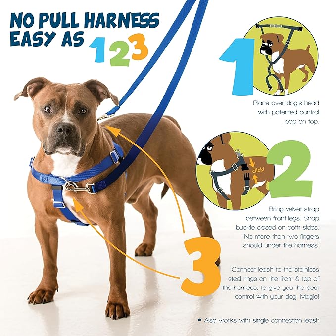 2 Hounds Design Freedom No Pull Dog Harness and Leash, 5/8" SM, Silver | Promotes Easy Walking & Comfortable Control, Secure Fit, Adjustable Harness and Leash Set for Small Sized Dogs, Made in USA