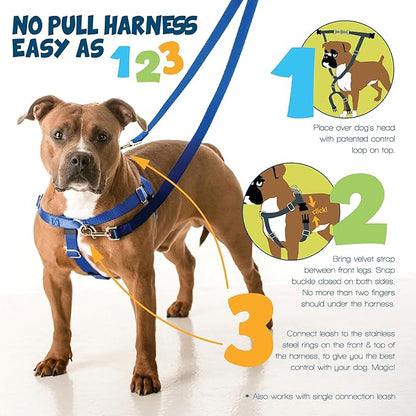 2 Hounds Design Freedom No Pull Dog Harness and Leash, 5/8" SM, Silver | Promotes Easy Walking & Comfortable Control, Secure Fit, Adjustable Harness and Leash Set for Small Sized Dogs, Made in USA