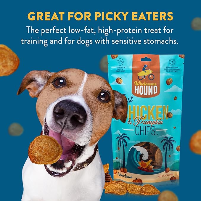 Chicken & Pumpkin Chips – 2 Simple Ingredient Dog Treats, All Natural & Healthy Training Snacks for Small, Medium & Large Breeds, Puppies – High Protein, Made in USA 7oz