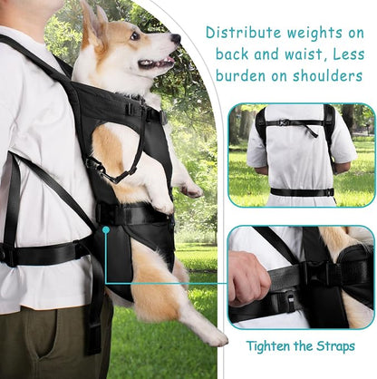 PetBonus Dog Front Carrier Backpacks, Legs Out Easy-fit Puppy Chest Carrier | Hands Free, Adjustable, Safety Strap, Walking Hiking Cycling Motorcycle bag, For Small Medium Dogs (Black, S)