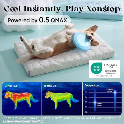 LE SURE ApexCloud™ Small Cooling Dog Bed with Washable Cover, 23x17 Inch | Q-Max>0.5 Cool-Touch Fabric, Orthopedic Egg Crate Foam,Breathable Non-Slip Summer Mat,For Active Senior Long-Haired Pets,Grey
