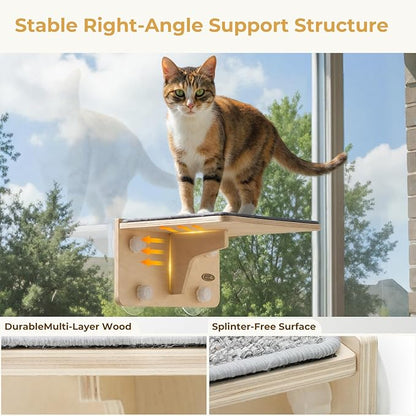 Pecute 2-in-1 Cat Window Perch & Wall Shelves - Sturdy Solid Wood Frame, 4 Large Rotating Suction Cups, Washable Carpet Cloth Cover, Space-Saving Indoor Cat Hammock Bed for Kittens Inside, 12"x10"