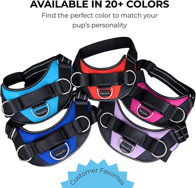 ShawnCo Essential Dog Harness, No-Pull Pet Vest (Orchid,XL) | 3 Leash Clips, Easy On, No-Choke, Reflective, Adjustable Fit, Padded Comfort, Control Handle, For Small, Medium & Large Dogs
