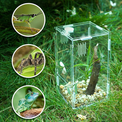 BETAZOOER Acrylic Mini Reptile Tank Habitat Transparent Terrariums with Locking Latch Suitable for Tarantula Isopod Roach Invertebrates (8''x6''x14'')