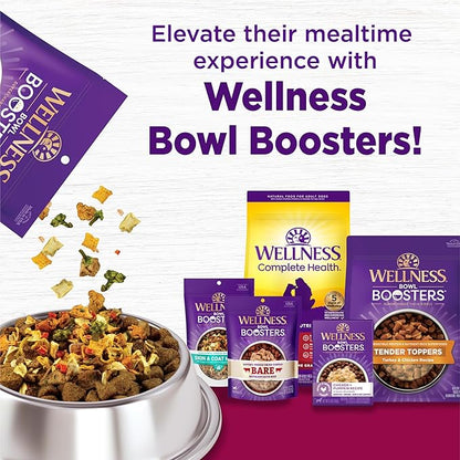 Wellness Complete Health Small Breed Dry Dog Food With Grains, Made In USA with Real Turkey and Natural Ingredients, For Dogs Up To 25 lbs, Healthy Weight, 12 Pound Bag
