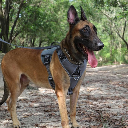 ICEFANG Quick-Moving Tactical Dog Harness for Medium Dogs,No Pull Dog Vest | Control Handle,Reflective,Full Metal Buckles,Adjustable,Hook-and-Loop Panel,Soft Padded,Grey,Medium