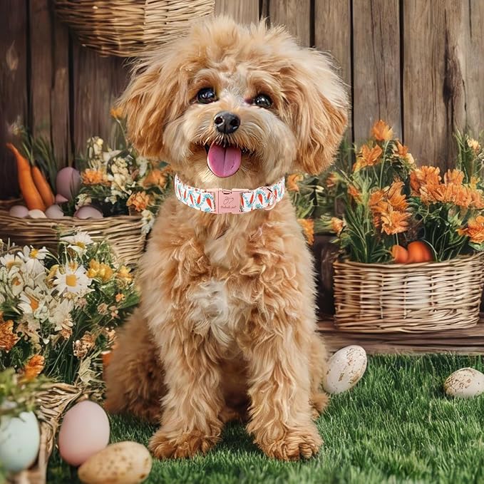 Easter Dog Collar, Cute Carrot Easter Collar for Boy Girl Dogs, Adjustable Heavy Duty Spring Holiday Dog Collars for Small Medium Large Dogs with Metal Buckle XL